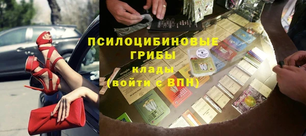 круглые Карпинск