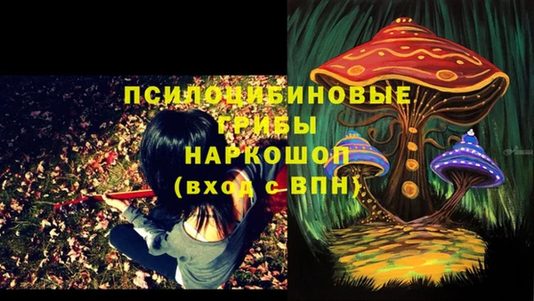 бошки Карталы