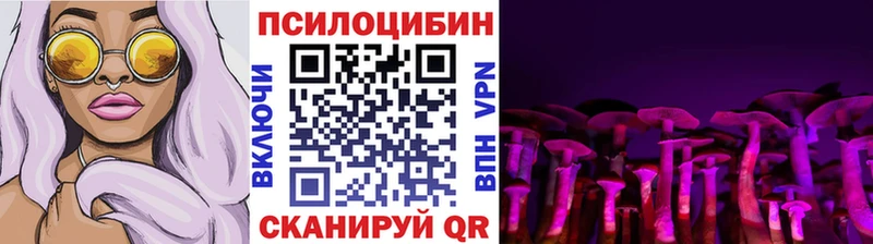 Купить Домодедово Псилоцибиновые грибы мицелий